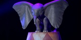Dumbo di Tim Burton: dal libro Roll A Book al film di successo
