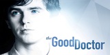 La serie The Good Doctor è tratta da un libro?