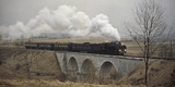 Orient Express: il treno del libro di Agatha Christie torna in Europa