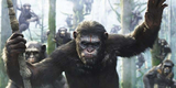 Apes Revolution- Il pianeta delle scimmie: trama e trailer del film stasera in tv