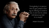 La teoria della relatività compie 100 anni: 3 libri per ricordare Einstein 