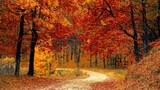 Equinozio d'autunno: quando cade quest'anno e cos'è