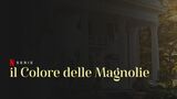 Il colore delle magnolie arriva su Netflix: trama e trailer della serie tratta dai romanzi di Sherryl Woods
