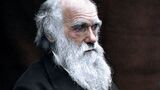 Charles Darwin: vita, viaggi e teoria dell'evoluzione
