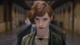The Danish Girl: trama e trailer del film stasera in tv
