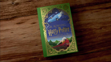 Harry Potter e la Camera dei segreti: in libreria finalmente l'edizione MinaLima in italiano 