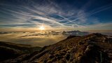 “Sono una creatura” di Giuseppe Ungaretti: la poesia simbolo dell'angoscia esistenziale