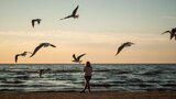“Cercami”: testo e analisi della poesia di Mila Kačič sull'amore perduto