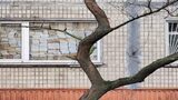 A Kiev un muro di libri contro le bombe: la vera storia dietro lo scatto