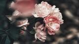 “Non amo che le rose che non colsi”: da quale poesia di Guido Gozzano è tratto il celebre verso