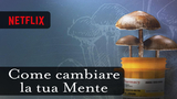 “Come cambiare la tua mente”: il documentario Netflix tratto dal libro di Michael Pollan
