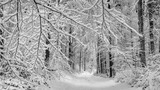 Gennaio, il mese “infinito” nella poesia di Rainer Maria Rilke