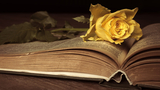 “Posso scrivere i versi più tristi” di Pablo Neruda: la poesia dedicata a chi soffre per amore