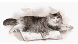 I gatti della Biblioteca Classense di Ravenna, veri e di carta