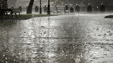 “Piove”, la poesia di Montale parodia di D'Annunzio: testo, analisi e significato