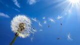 “Credo”: la poesia di Simone Cristicchi inno alla vita e alla bellezza