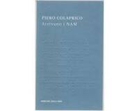 Arrivano i NAM