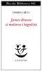Copertina del libro James Brown si metteva i bigodini 