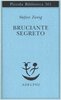 Copertina del libro Bruciante segreto 