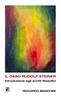 Copertina del libro Il caso Rudolf Steiner. Introduzione agli scritti filosofici 
