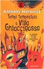 Copertina del libro Tempi tempestosi a Villa Ghiacciaossa 