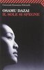 Copertina del libro Il sole si spegne 