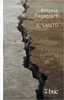 Copertina del libro Il santo 