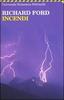 Copertina del libro Incendi