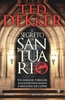 Copertina del libro Il segreto del santuario 