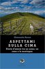 Copertina del libro Aspettami sulla cima