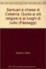 Copertina del libro Santuari e Chiese di Calabria. Guida ai siti religiosi e ai luoghi di culto 