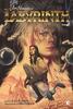 Copertina del libro Labyrinth 