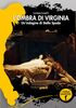 Copertina del libro L'ombra di Virginia. Un'indagine per Stella Spada 