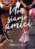 Copertina del libro Non siamo amici 