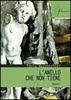 Copertina del libro L'anello che non tiene 