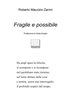 Copertina del libro Fragile e possibile 