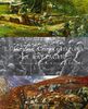 Copertina del libro La grande guerra italiana. Le battaglie 